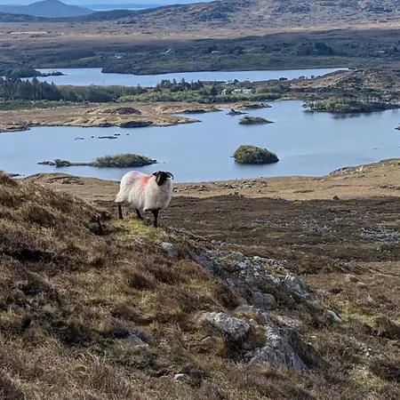 Connemara Escape I Sruthanglencottage I كليفدين